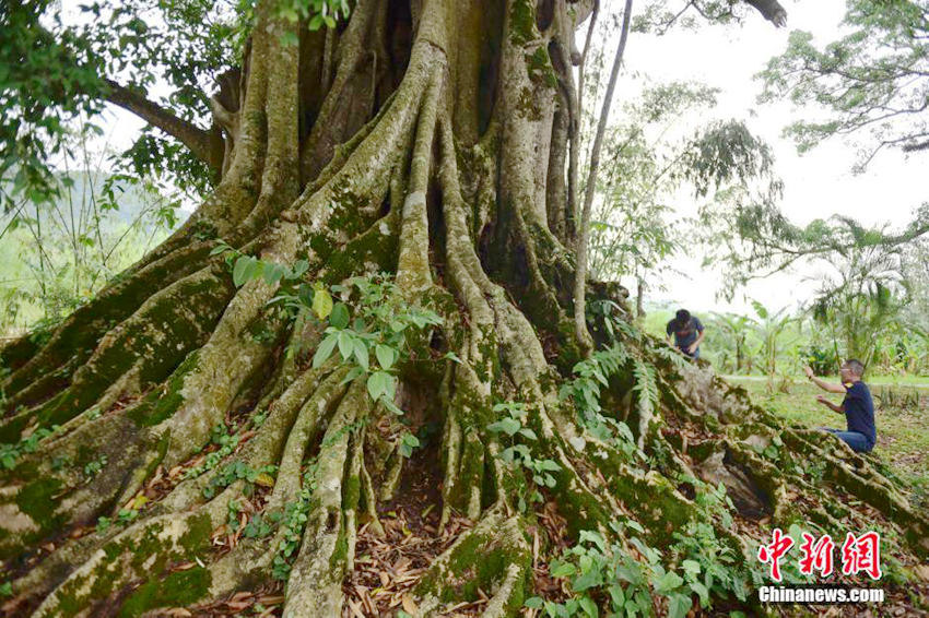 ?? ????? ?? ?? ?? ?? ??, ?? ??