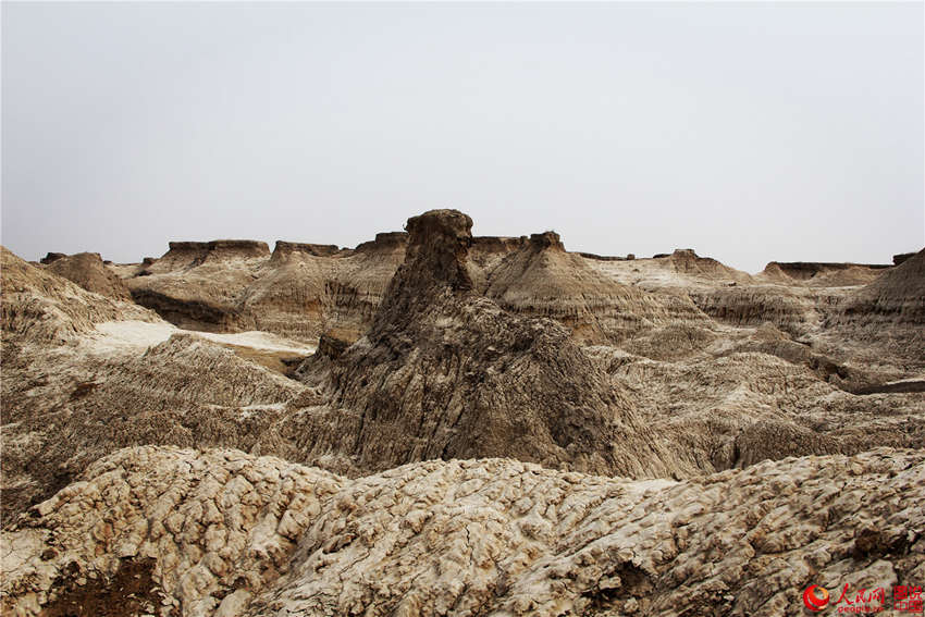 ?? ??, ?? ?? ?? ???? ‘?? ?’