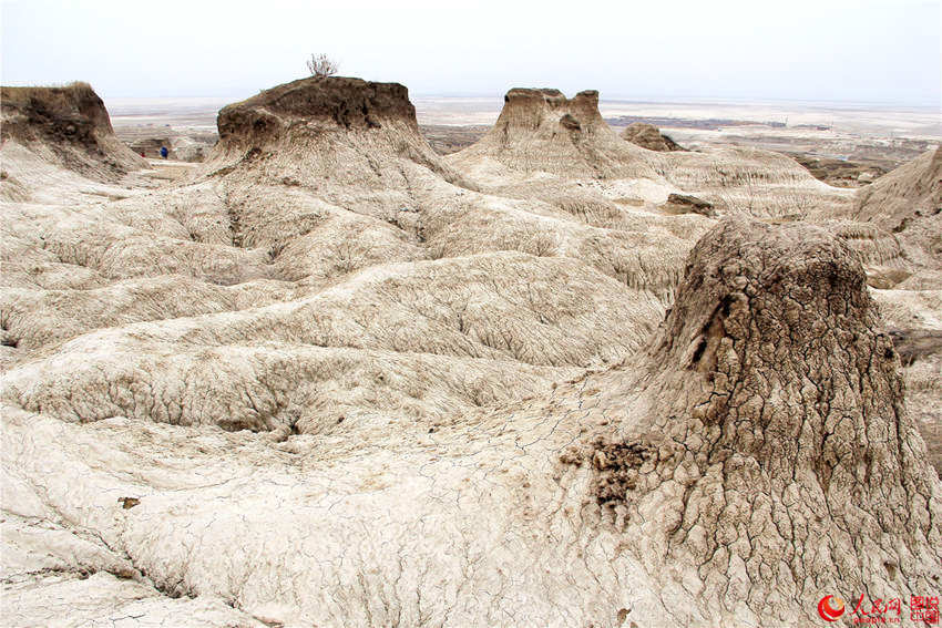 ?? ??, ?? ?? ?? ???? ‘?? ?’