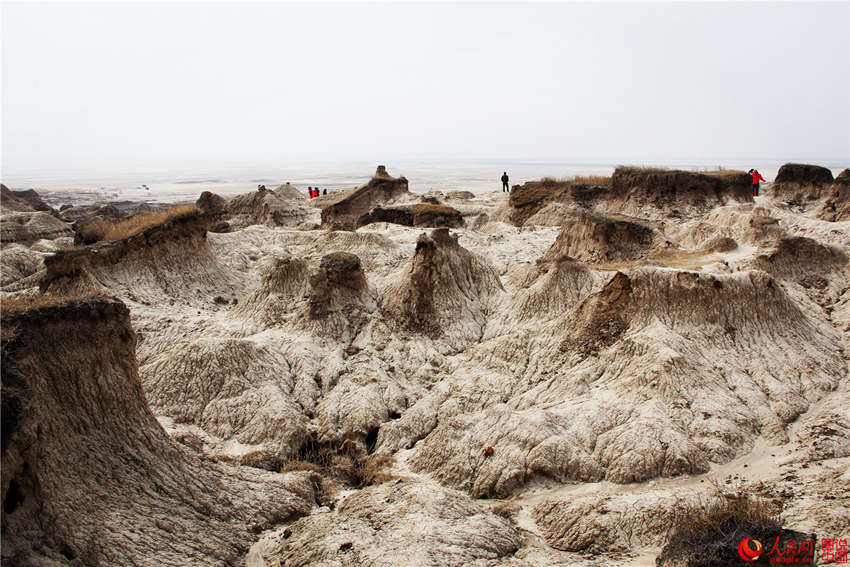 ?? ??, ?? ?? ?? ???? ‘?? ?’