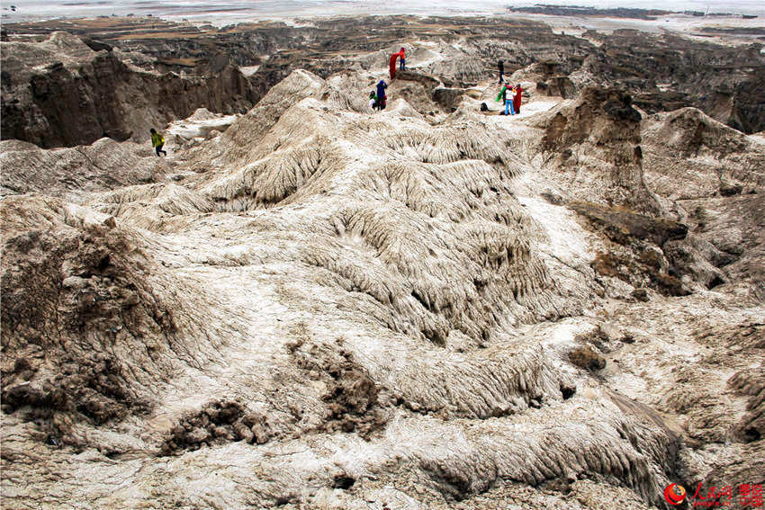 ?? ??, ?? ?? ?? ???? ‘?? ?’