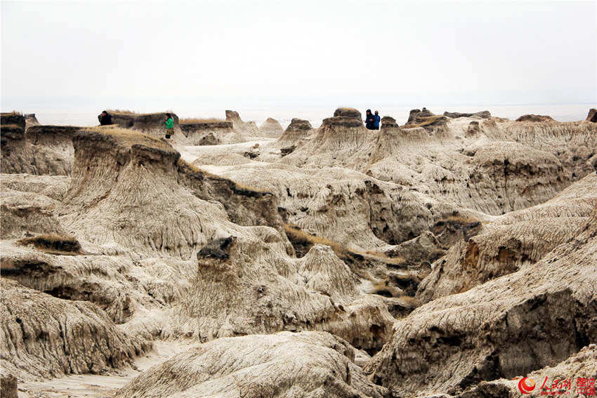 ?? ??, ?? ?? ?? ???? ‘?? ?’