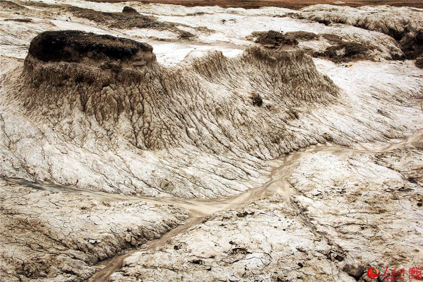 ?? ??, ?? ?? ?? ???? ‘?? ?’