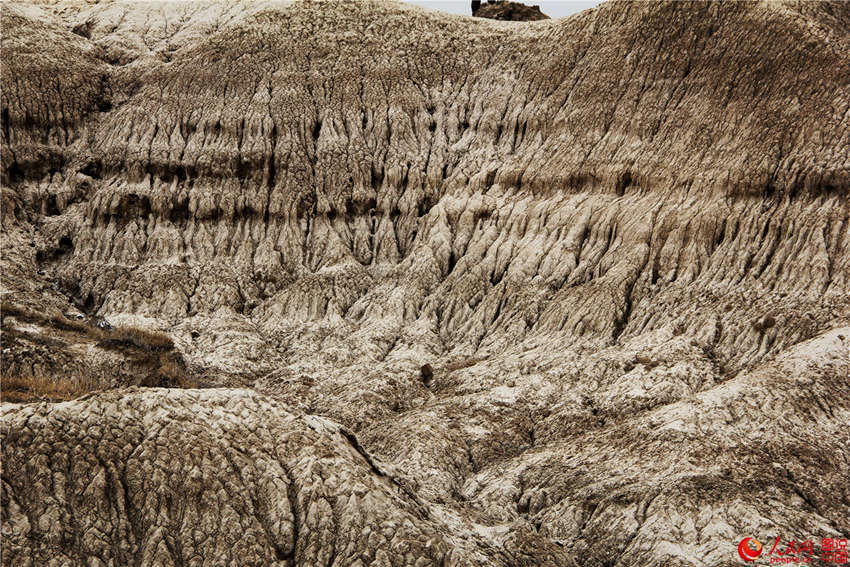 ?? ??, ?? ?? ?? ???? ‘?? ?’