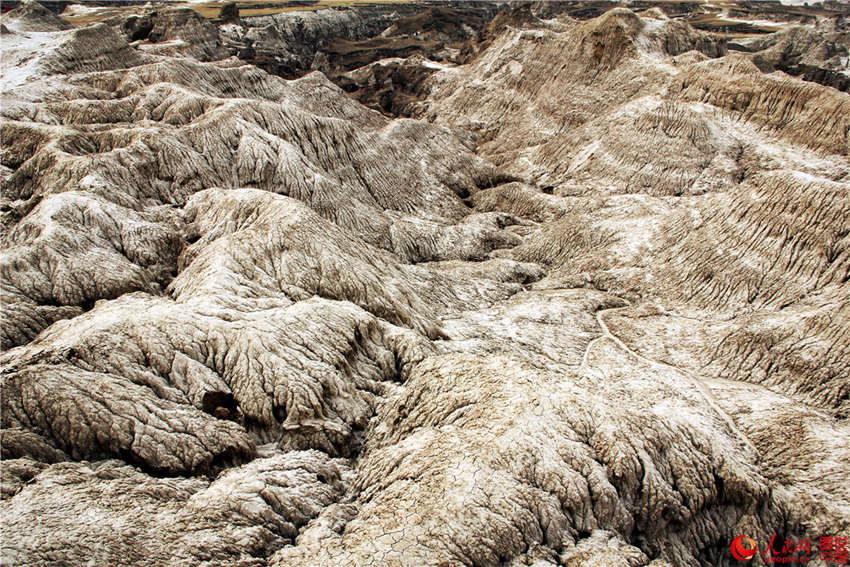 ?? ??, ?? ?? ?? ???? ‘?? ?’