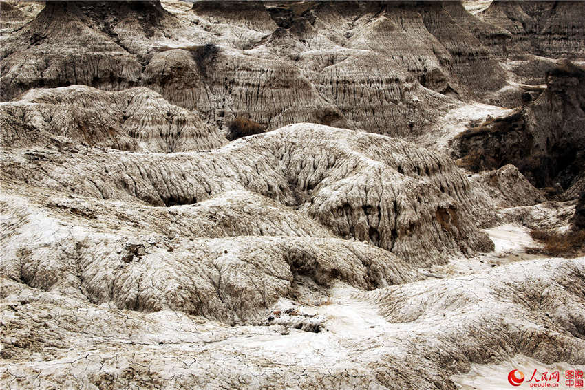 ?? ??, ?? ?? ?? ???? ‘?? ?’