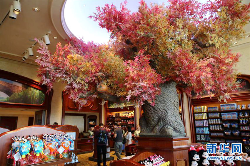 ??? ????? ??? ?? 16??? ??