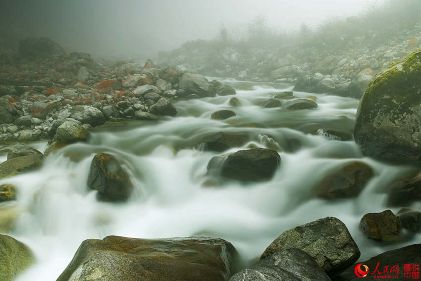 ?? ? ?? ????? ???? ??