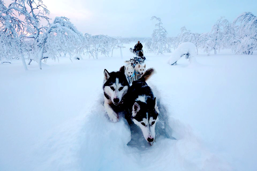 ???? ??? ?? ?? ????? ???