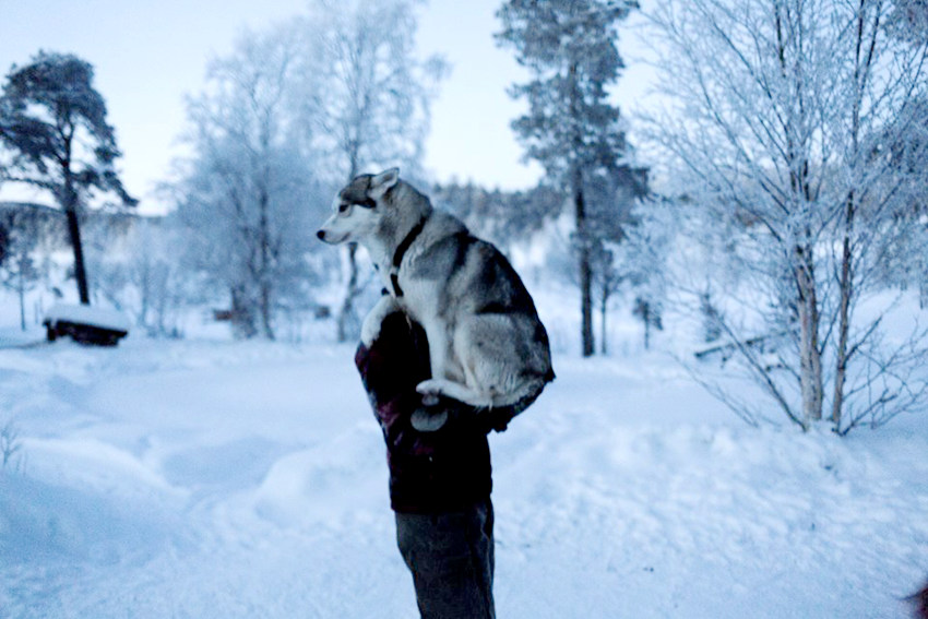 ???? ??? ?? ?? ????? ???