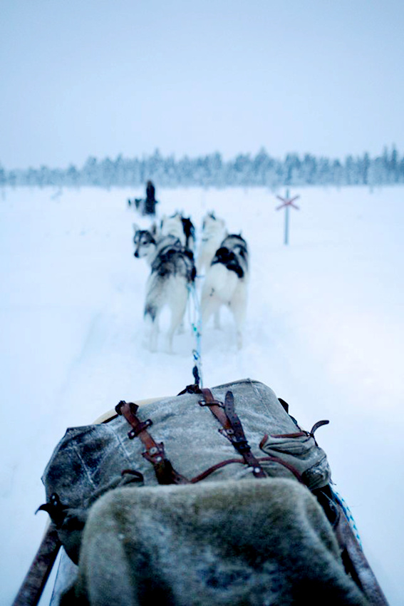 ???? ??? ?? ?? ????? ???