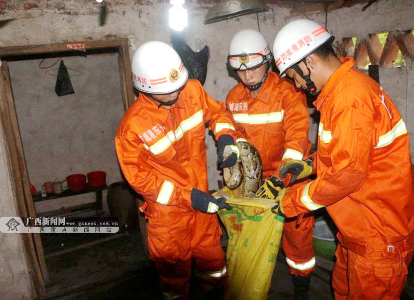 3?? ?? ???, ?? ???? ??