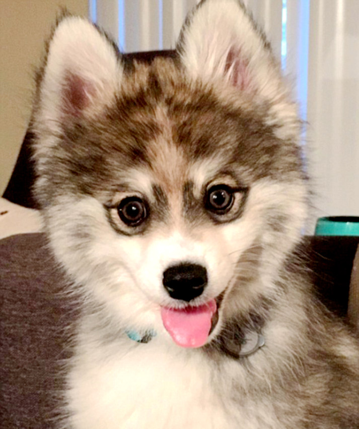 ‘?? ????’ ??? ???? ??