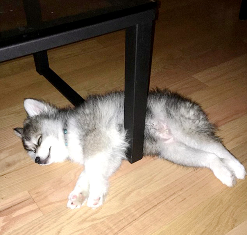 ‘?? ????’ ??? ???? ??