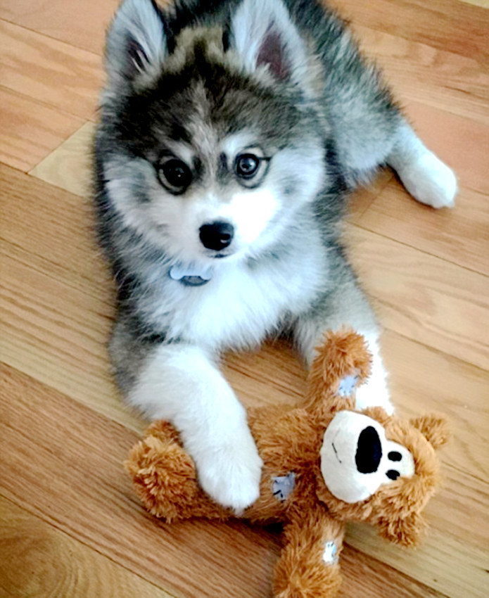 ‘?? ????’ ??? ???? ??