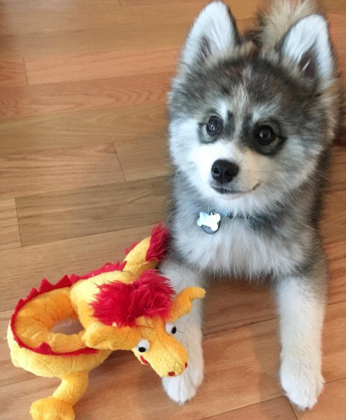 ‘?? ????’ ??? ???? ??