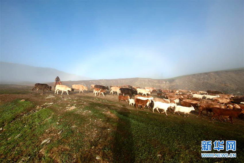 ?? ????, ???? ????? ?? ???