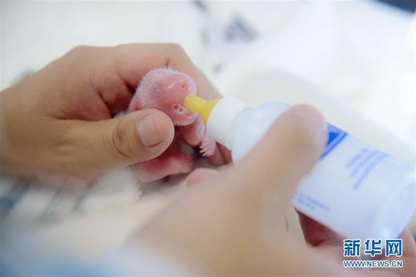 ???? ? ?? ‘??’, ?? ??? ??