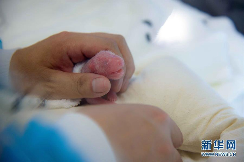 ???? ? ?? ‘??’, ?? ??? ??