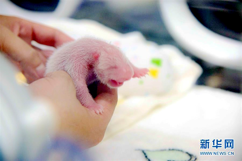 ???? ? ?? ‘??’, ?? ??? ??