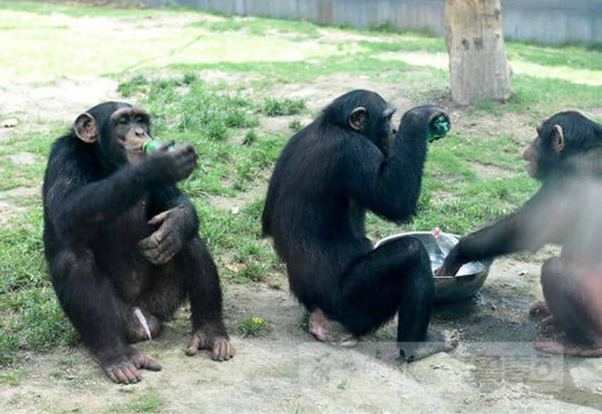 ???? ?? ??？ ?? ??, ??? ???