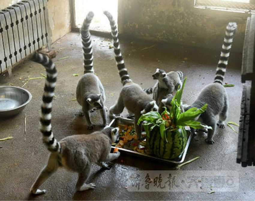 ???? ?? ??？ ?? ??, ??? ???