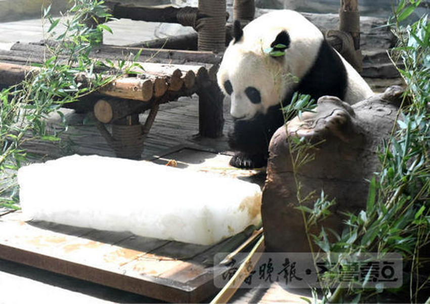 ???? ?? ??？ ?? ??, ??? ???