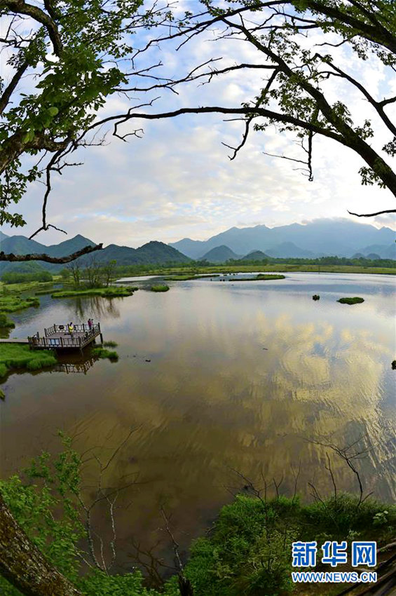 ??? ???? ??? ??,????? ??