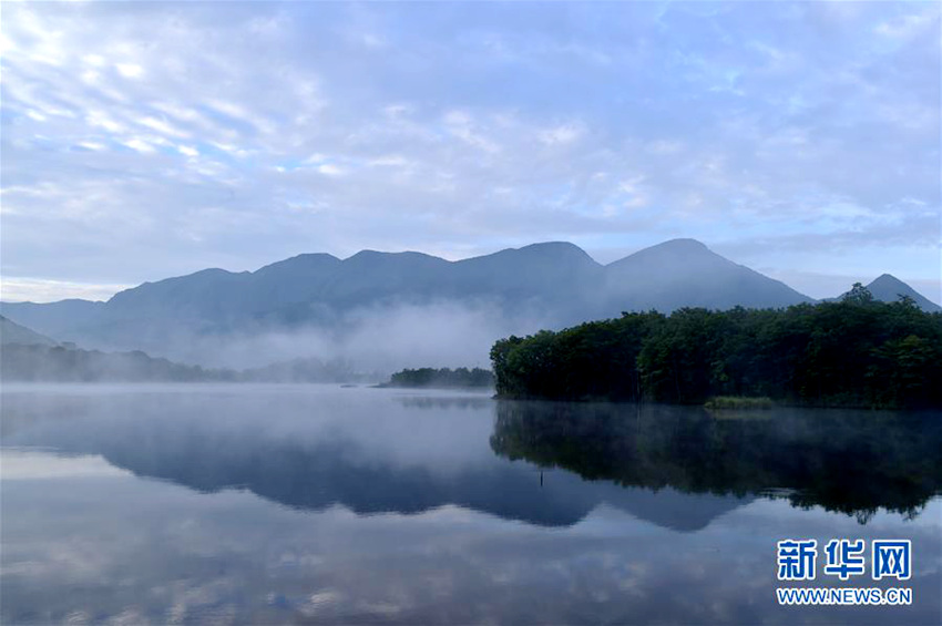 ??? ???? ??? ??,????? ??