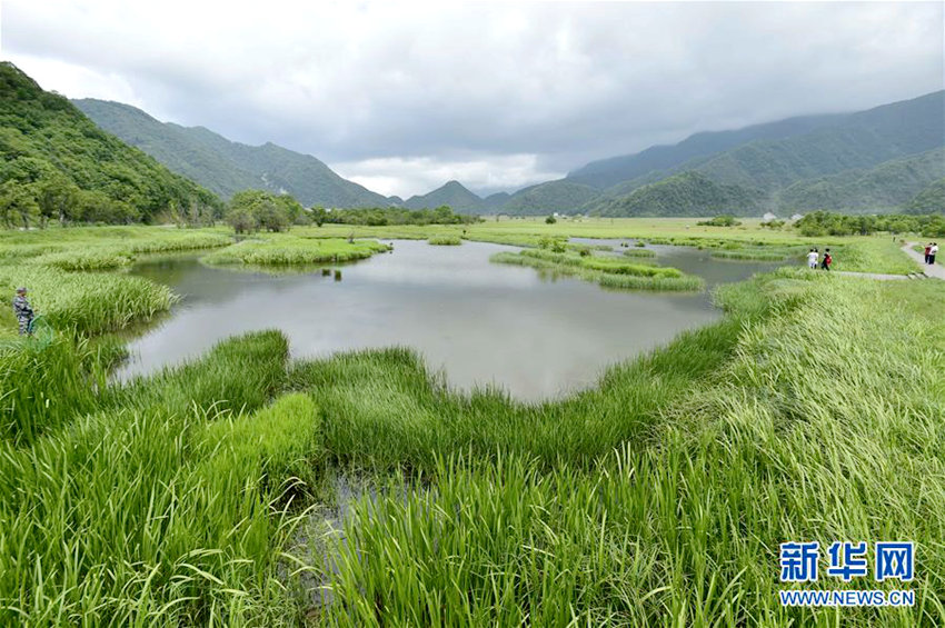 ??? ???? ??? ??,????? ??