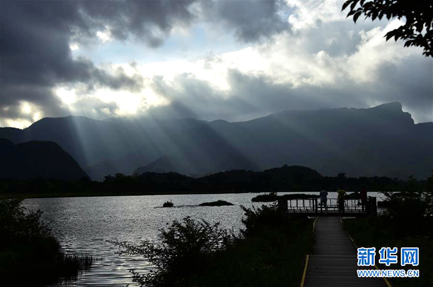 ??? ???? ??? ??,????? ??