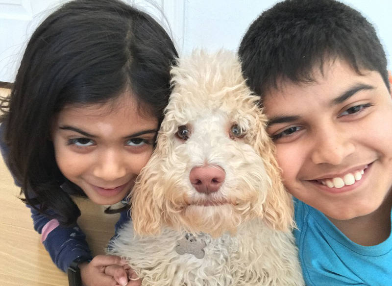 ???? ??? ???, ?????!