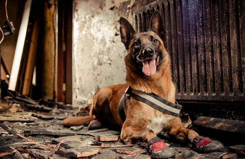 ???? ??? ???, ?????!