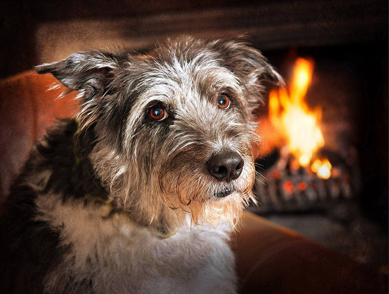 ???? ??? ???, ?????!