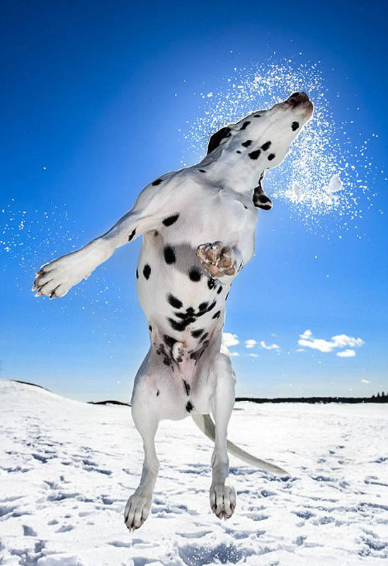 ???? ??? ???, ?????!