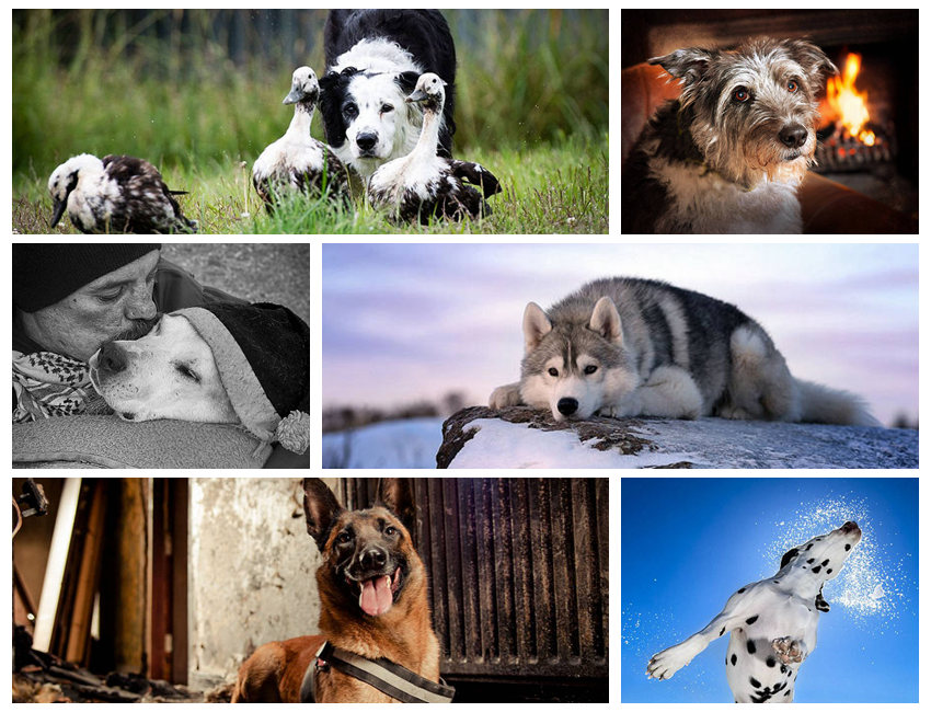 ???? ??? ???, ?????!