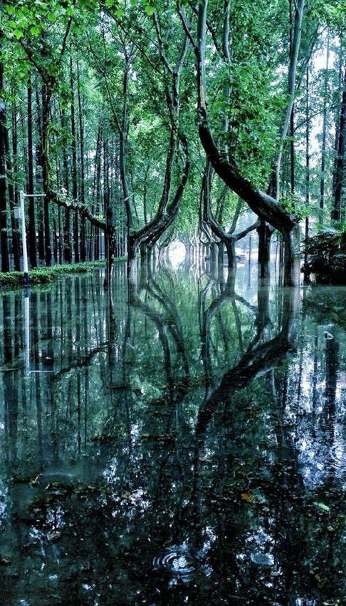 ?? ???? ?????, ???? ?? ??!