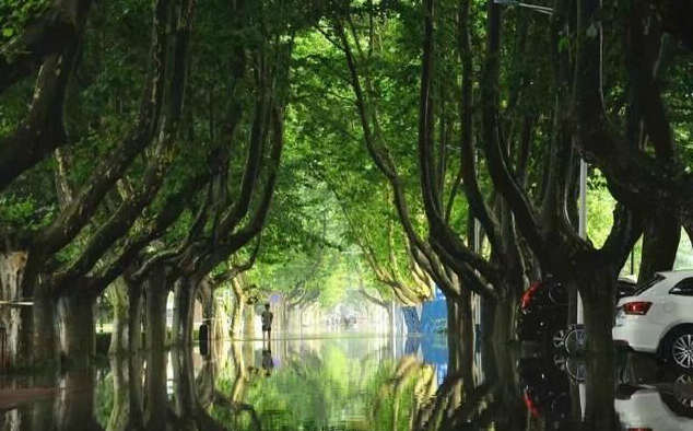 ?? ???? ?????, ???? ?? ??!