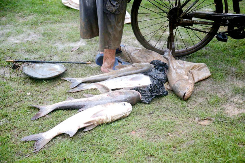 ?? ??? ??, ? ??? ?? ????