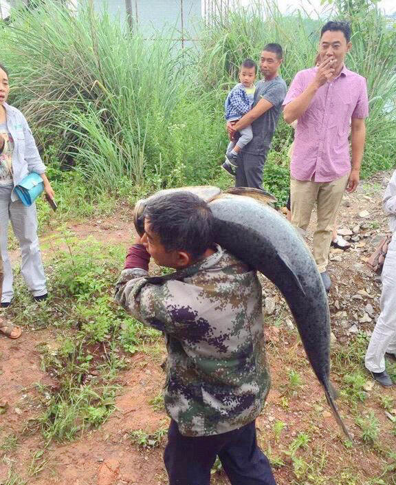 ?? ??? ??, ? ??? ?? ????