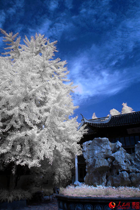 ??? ???? ??? ???, ?? ?? ??