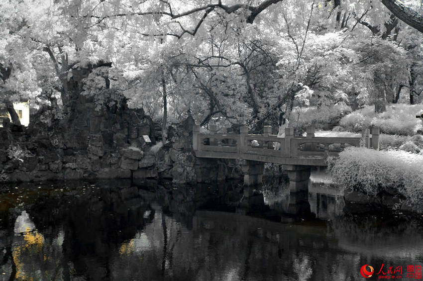 ??? ???? ??? ???, ?? ?? ??