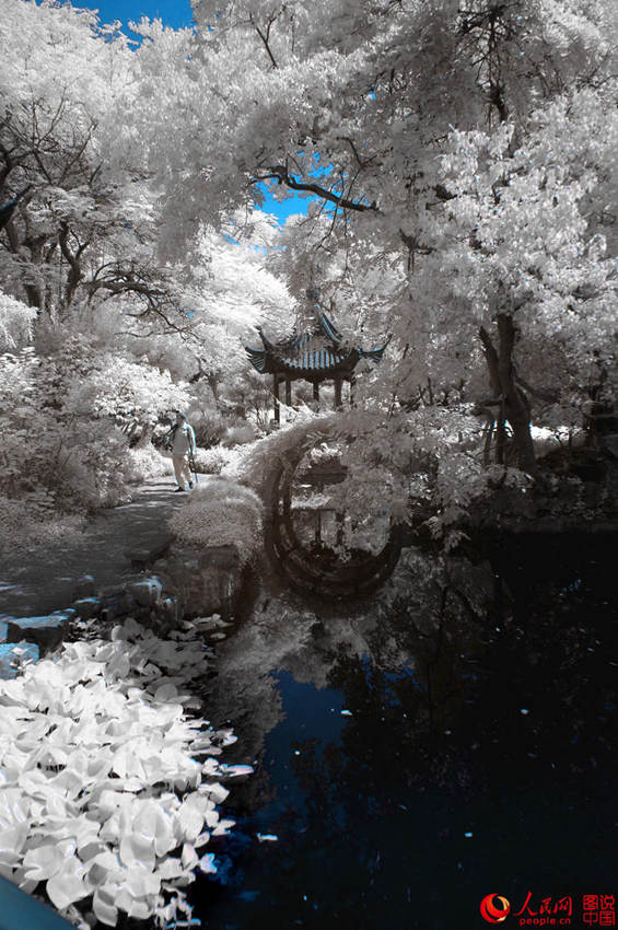 ??? ???? ??? ???, ?? ?? ??