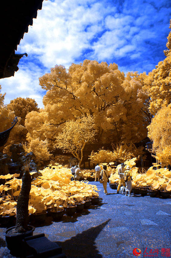 ??? ???? ??? ???, ?? ?? ??