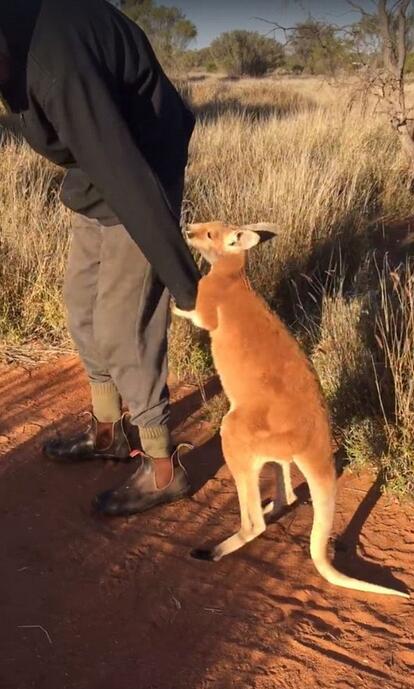 ?? ????? ??? ?? ??? ?? ??? ??