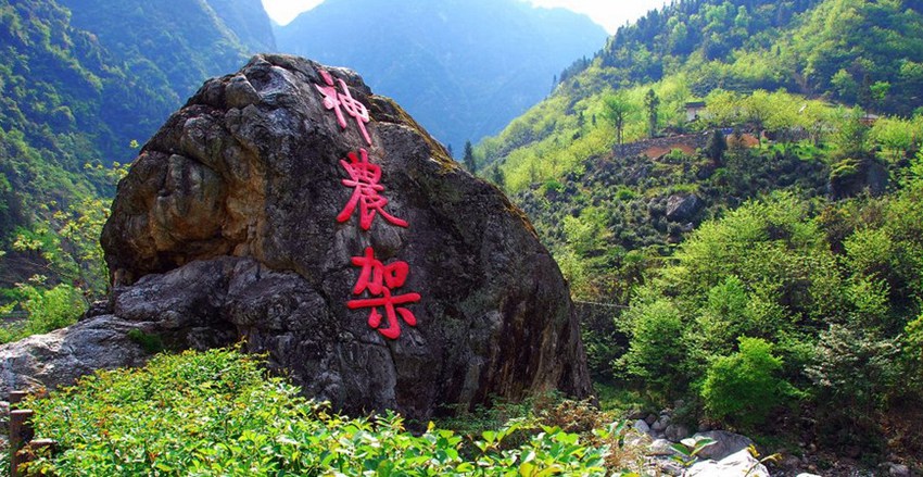 ?40? ???? ??????? ??, 中????  ??