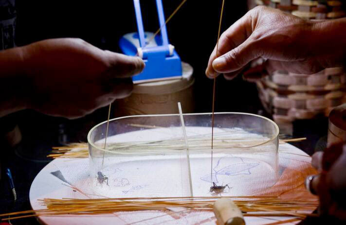 ‘???? ??’ ???? ??, ?? ?? ??