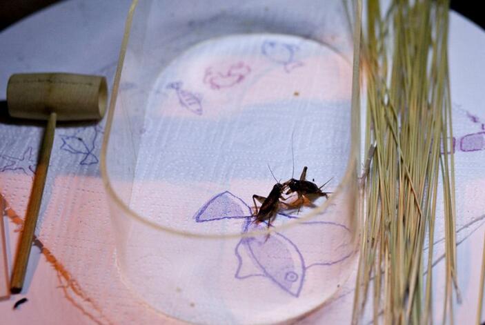 ‘???? ??’ ???? ??, ?? ?? ??