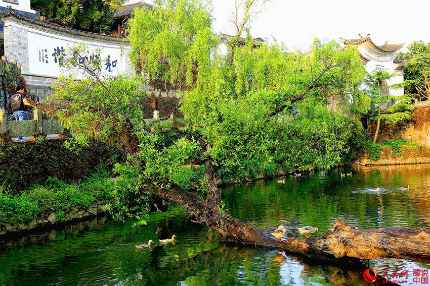 ?? 10? ‘?? ??’, ??? ????