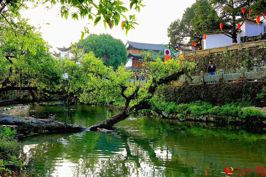 ?? 10? ‘?? ??’, ??? ????